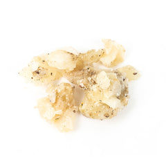 Terracota Clay Concordia Copalera - Harmony Kit Set.- Sahumador