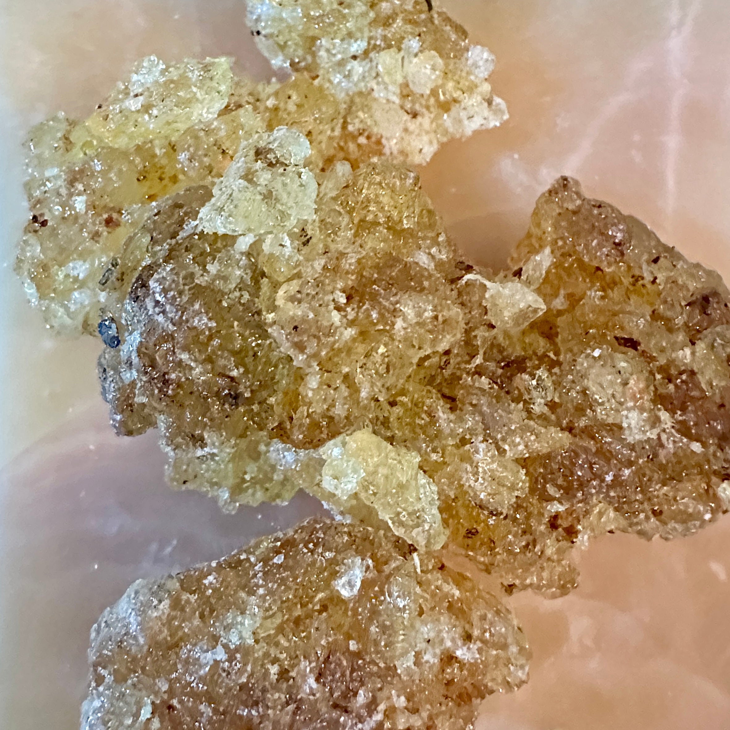 Hand-Harvested  "Bursera Heliae" Rare copal Resin 100% Natural Citrus Copal.- Soothing & Calming.